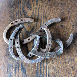 Old Antique Horseshoe