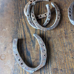 Old Antique Horseshoe