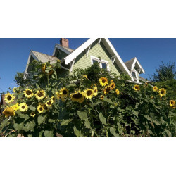 May 1, 2022 - Spiral House Pop-Up Porch Sale May 1, 2022 - Spiral House Pop-Up Porch Sale