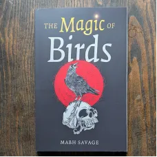 The Magic of Birds