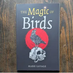 The Magic of Birds The Magic of Birds