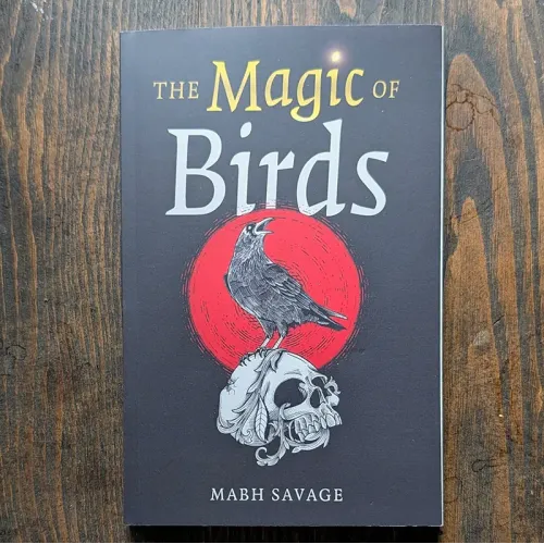 The Magic of Birds