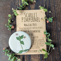 Botanical Charm -Scarlet Pimpernel Botanical Charm -Scarlet Pimpernel