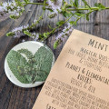 Botanical Charm - Mint Botanical Charm - Mint