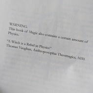 The Apophenion: A Chaos Magick Paradigm 