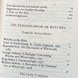 The Penguin Book of Witches  The Penguin Book of Witches