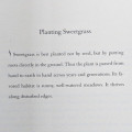 Braiding Sweetgrass