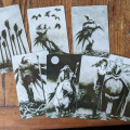 Murder of Crows Tarot Murder of Crows Tarot