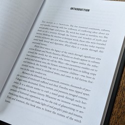 Witch Hunt: A Traveler's Guide to the Power and Persecution of the Witch  Witch Hunt: A Traveler's Guide to the Power and Persecution of the Witch