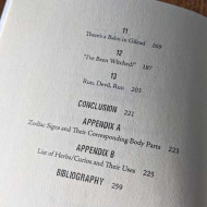 Doctoring the Devil: Notebooks of an Appalachian Conjure Man 