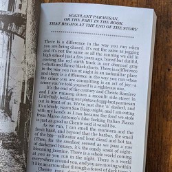 After Tonight, Everything Will Be Different novel by Adam Gnade