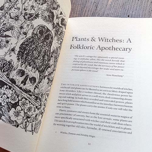 The Witch\'s Cabinet: Plant Lore, Sorcery and Folk Tradition