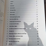 Cat Call: Reclaiming the Feral Feminine