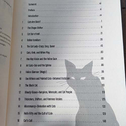 Cat Call: Reclaiming the Feral Feminine Cat Call: Reclaiming the Feral Feminine