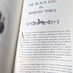 Black Dog Folklore  Black Dog Folklore
