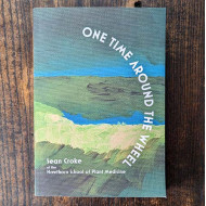 One Time Around the Wheel