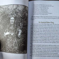 The White Deer: Ecospirituality and the Mythic The White Deer: Ecospirituality and the Mythic