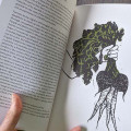 Gardener's Folklore: The Ancient Secrets for Gardening Magic Gardener's Folklore: The Ancient Secrets for Gardening Magic