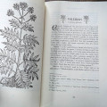 Under the Dragon Root: A Folk Grimoire of Occult Plant Lore & Practicum Under the Dragon Root: A Folk Grimoire of Occult Plant Lore & Practicum