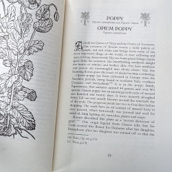 Under the Dragon Root: A Folk Grimoire of Occult Plant Lore  & Practicum Under the Dragon Root: A Folk Grimoire of Occult Plant Lore  & Practicum