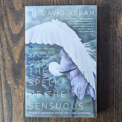 The Spell of the Sensuous The Spell of the Sensuous