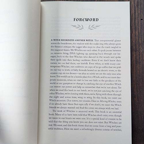 Missing Witches: Recovering True Histories of Feminist Mag