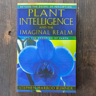 Plant Intelligence and the Imaginal Realm: Beyond the Doors of Perception Into the Dreaming of Earth