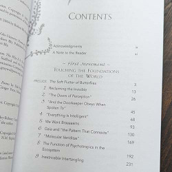 Plant Intelligence and the Imaginal Realm: Beyond the Doors of Perception Into the Dreaming of Earth Plant Intelligence and the Imaginal Realm: Beyond the Doors of Perception Into the Dreaming of Earth