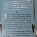 Dabbler's Guide to Witchcraft: Seeking an Intentional Magical Path 