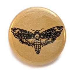 Deaths Head Moth