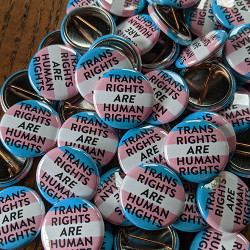 Trans Rights Are Human Rights 1" buttons in bulk Trans Rights Are Human Rights 1" buttons in bulk
