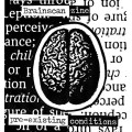 Brainscan Zine Pre-existing Conditions & Irreconcilable Differences 5 zine pack