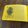 Fanzine Ynfytyn 32 + 34 Romans  (2 zine set)