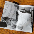 Miniature Manual of Seasonal Altarcraft