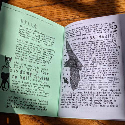 Bat Habitat #28 (formerly Your Pretty Face Is Going Straight to Helll zine)
