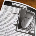 Behind The Zines #11