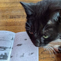 Behind The Zines #11