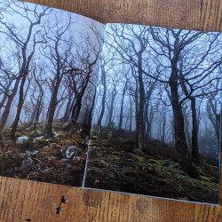 Grimoire Silvanus Zine Issue 2 Grimoire Silvanus Zine Issue 2