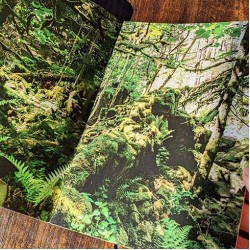 Grimoire Silvanus Zine Issue 5 Grimoire Silvanus Zine Issue 5