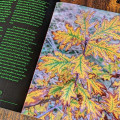 Grimoire Silvanus Zine Issue 5 Grimoire Silvanus Zine Issue 5