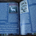 Grimoire Silvanus Zine Issue 8