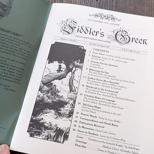 Fiddler's Green 9: Akashic Ashcan