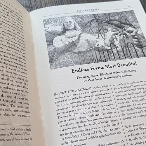 Fiddler's Green 9: Akashic Ashcan