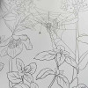 Gothic Garden Adult Coloring Book