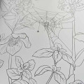 Goth Garden Adult Coloring Book Goth Garden Adult Coloring Book