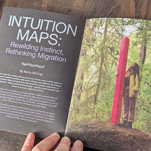 Weird Walk Zine Issue Eight