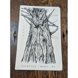 Everyday Magic #3 Everyday Magic #3