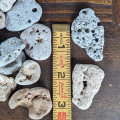 One Medium Hag Stone (Adder Stone)